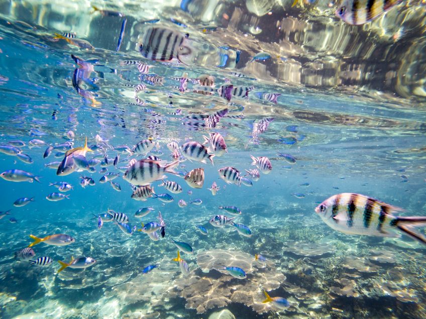 C:DCIM100GOPROGOPR4846.GPR