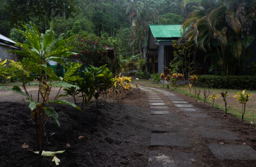 27 Tagnkoko Nationalpark 02